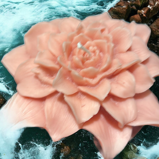 Candle Flower