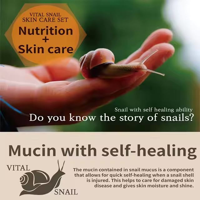 Vital Snail 6 Types Set Korean Skin Care Beauty Collagen UV protection Nutrition Hydrating PDRN VEGAN OEM